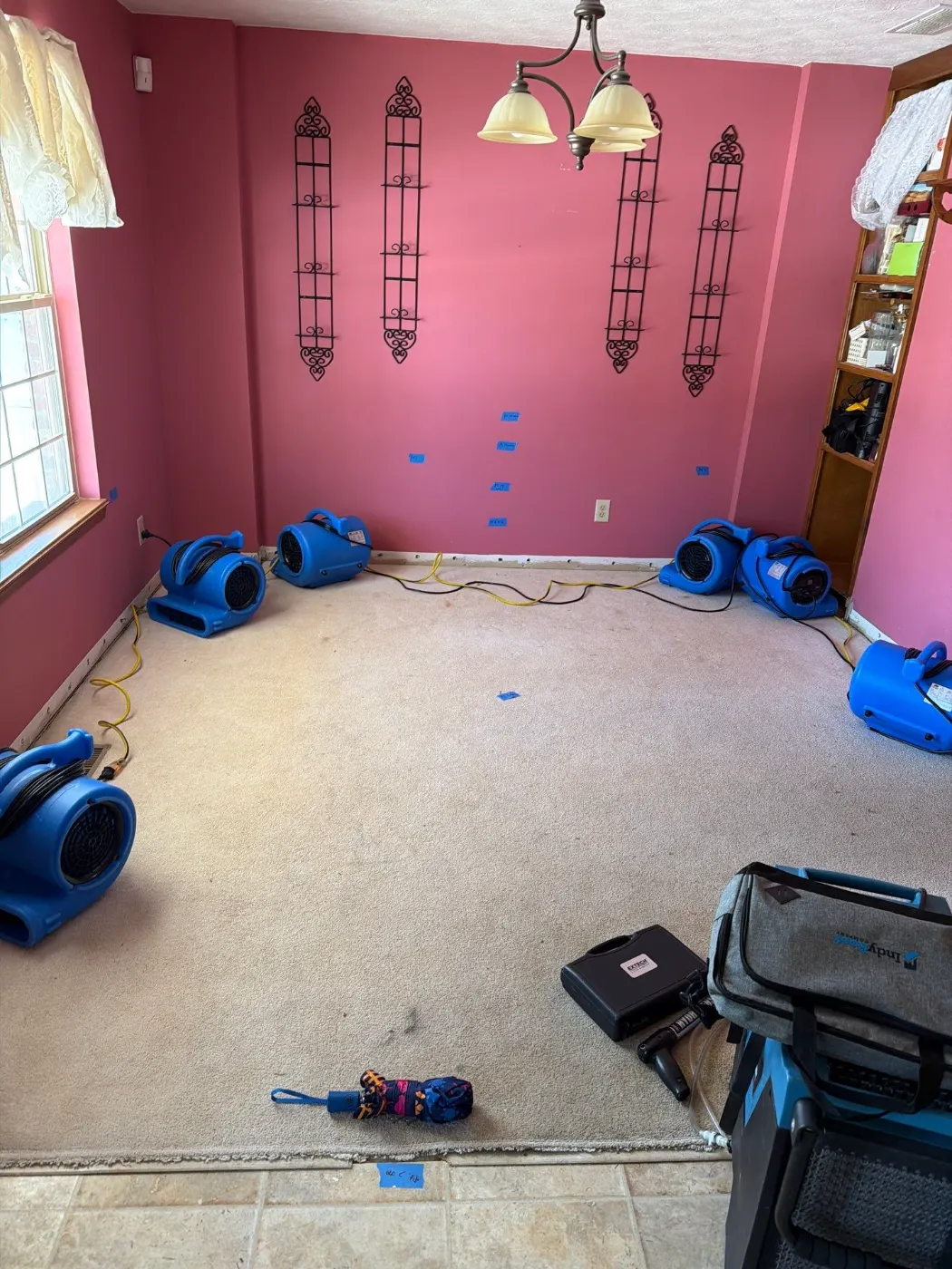 24 Hour Water Damage Restoration in Meridian Hills: Emergency Answers